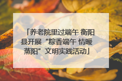 养老院里过端午 衡阳县开展“粽香端午 情暖蒸阳”文明实践活动