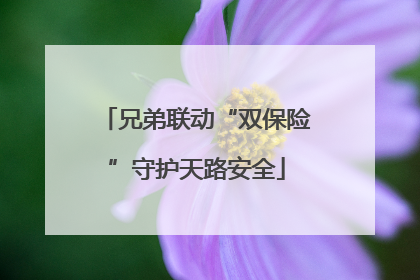 兄弟联动“双保险”守护天路安全