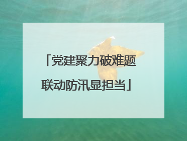 党建聚力破难题 联动防汛显担当