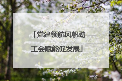 党建领航风帆劲 工会赋能促发展