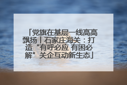党旗在基层一线高高飘扬丨石家庄海关：打造“有呼必应 有困必解”关企互动新生态