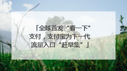 全球首发“看一下”支付，支付宝为下一代流量入口“赶早集”