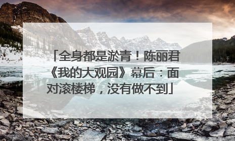全身都是淤青！陈丽君《我的大观园》幕后：面对滚楼梯，没有做不到