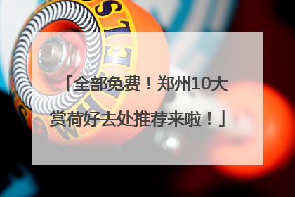 全部免费！郑州10大赏荷好去处推荐来啦！