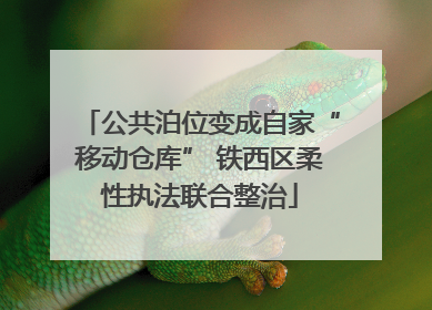 公共泊位变成自家“移动仓库” 铁西区柔性执法联合整治