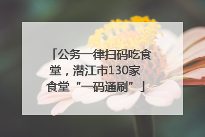 公务一律扫码吃食堂，潜江市130家食堂“一码通刷”