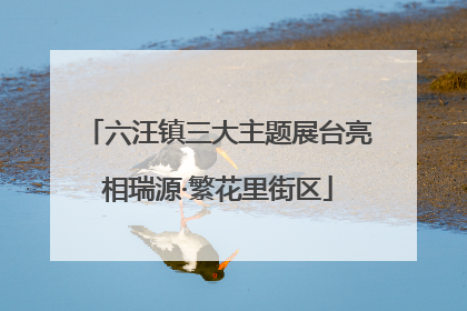 六汪镇三大主题展台亮相瑞源·繁花里街区