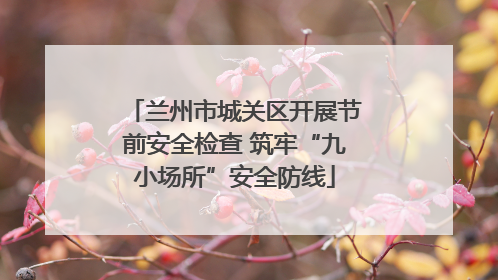 兰州市城关区开展节前安全检查 筑牢“九小场所”安全防线
