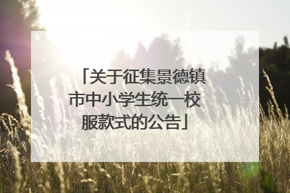 关于征集景德镇市中小学生统一校服款式的公告