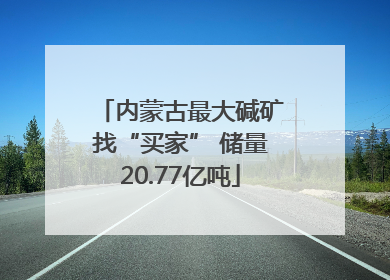 内蒙古最大碱矿找“买家” 储量20.77亿吨