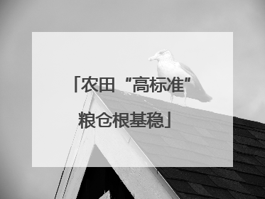 农田“高标准” 粮仓根基稳