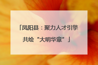 凤阳县：聚力人才引擎 共绘“大明华章”
