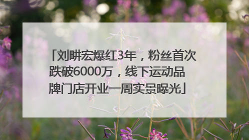 刘畊宏爆红3年，粉丝首次跌破6000万，线下运动品牌门店开业一周实景曝光