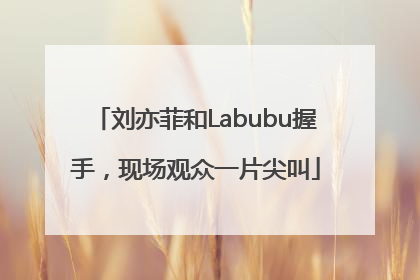 刘亦菲和Labubu握手，现场观众一片尖叫