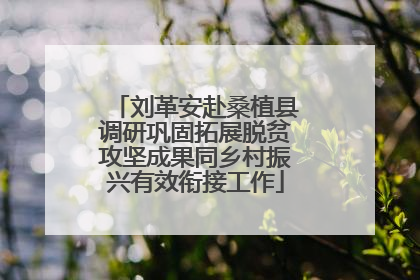 刘革安赴桑植县调研巩固拓展脱贫攻坚成果同乡村振兴有效衔接工作