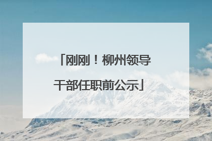 刚刚！柳州领导干部任职前公示