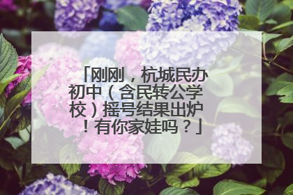 刚刚，杭城民办初中（含民转公学校）摇号结果出炉！有你家娃吗？