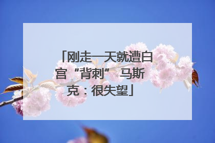 刚走一天就遭白宫“背刺” 马斯克：很失望