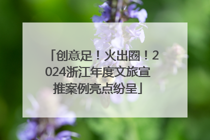 创意足！火出圈！2024浙江年度文旅宣推案例亮点纷呈