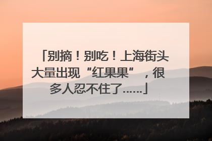 别摘！别吃！上海街头大量出现“红果果”，很多人忍不住了……