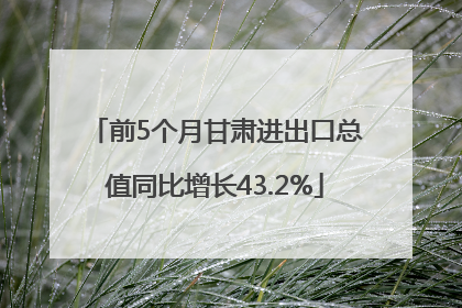 前5个月甘肃进出口总值同比增长43.2%