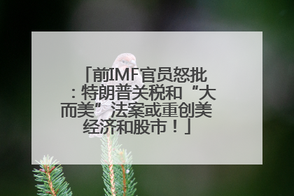 前IMF官员怒批：特朗普关税和“大而美”法案或重创美经济和股市！