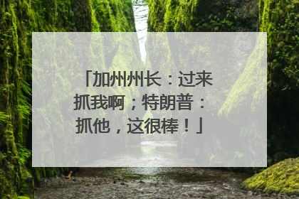 加州州长：过来抓我啊；特朗普：抓他，这很棒！