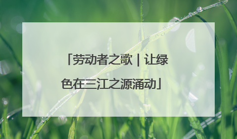 劳动者之歌｜让绿色在三江之源涌动
