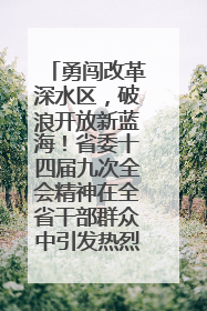 勇闯改革深水区，破浪开放新蓝海！省委十四届九次全会精神在全省干部群众中引发热烈反响