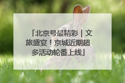 北京号最精彩｜文旅盛宴！京城近期超多活动轮番上线