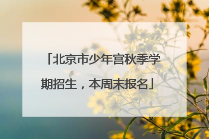 北京市少年宫秋季学期招生，本周末报名