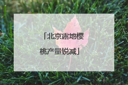 北京露地樱桃产量锐减