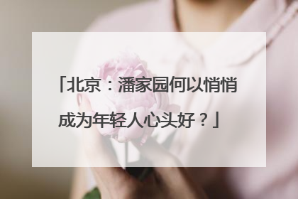 北京：潘家园何以悄悄成为年轻人心头好？