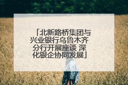 北新路桥集团与兴业银行乌鲁木齐分行开展座谈 深化银企协同发展