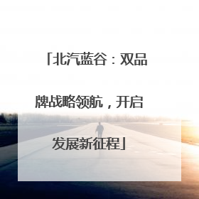 北汽蓝谷：双品牌战略领航，开启发展新征程