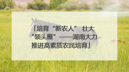 培育“新农人” 壮大“领头雁”——湖南大力推进高素质农民培育