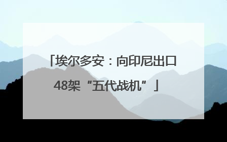 埃尔多安：向印尼出口48架“五代战机”