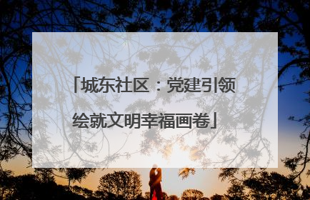 城东社区：党建引领绘就文明幸福画卷