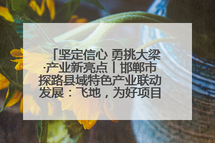坚定信心 勇挑大梁·产业新亮点丨邯郸市探路县域特色产业联动发展：飞地，为好项目跨域安个家