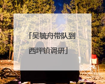吴毓舟带队到西坪镇调研