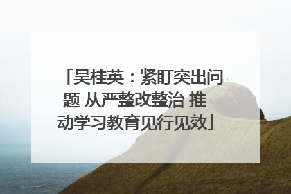 吴桂英：紧盯突出问题 从严整改整治 推动学习教育见行见效