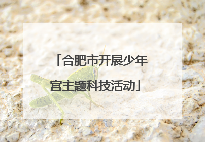 合肥市开展少年宫主题科技活动