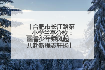合肥市长江路第三小学兰亭分校：墨香少年乘风起 共赴新程志轩扬
