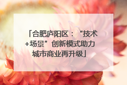合肥庐阳区：“技术+场景”创新模式助力城市商业再升级