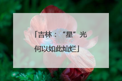 吉林：“星”光何以如此灿烂