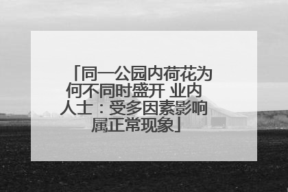 同一公园内荷花为何不同时盛开 业内人士：受多因素影响 属正常现象