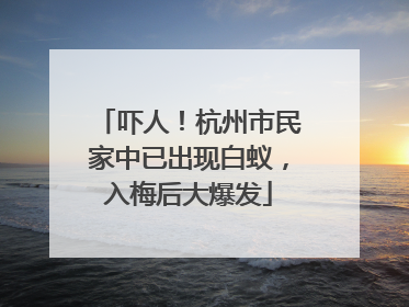 吓人！杭州市民家中已出现白蚁，入梅后大爆发