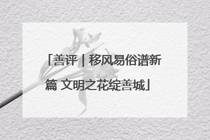 善评｜移风易俗谱新篇 文明之花绽善城