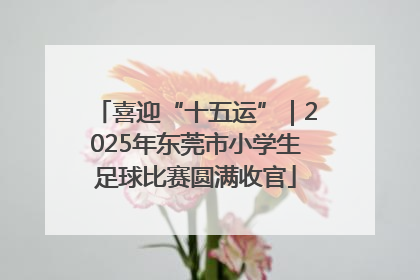 喜迎“十五运”｜2025年东莞市小学生足球比赛圆满收官