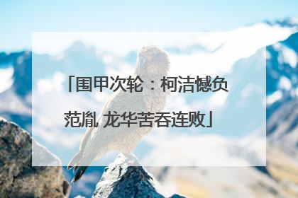 围甲次轮：柯洁憾负范胤 龙华苦吞连败
